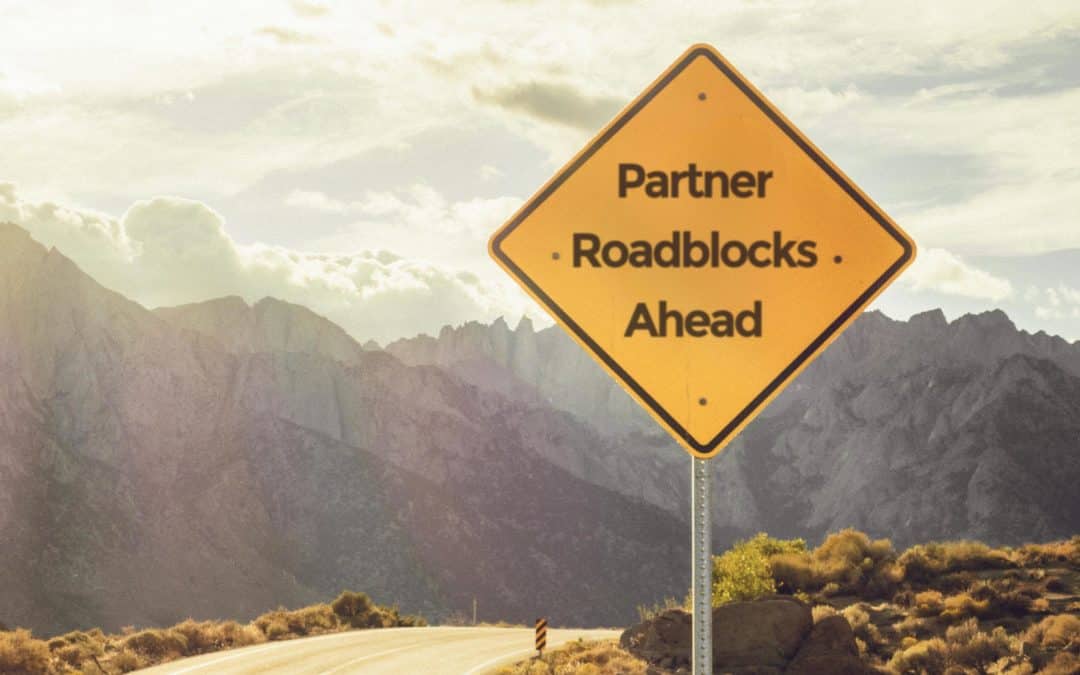 Top 3 Roadblocks in Modern Successful Partner Ecosystems