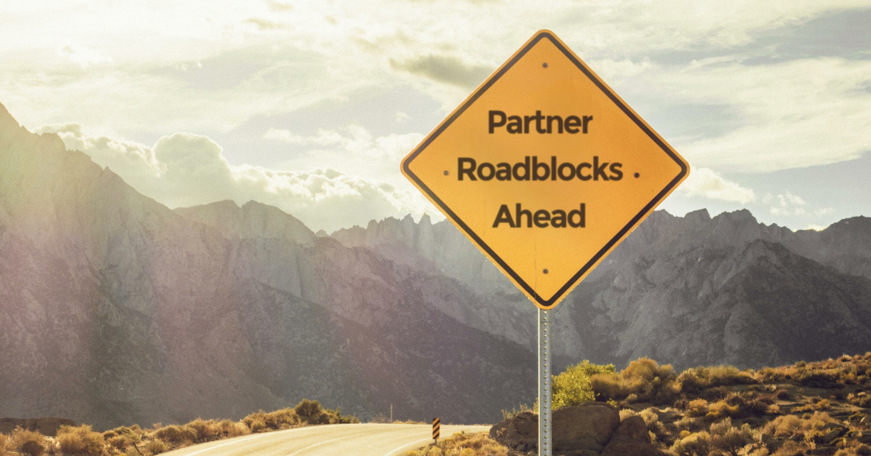 Top 3 Roadblocks in Modern Successful Partner Ecosystems