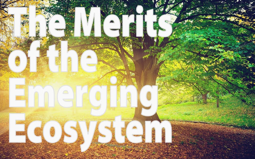 The Merits of the Emerging Ecosystem
